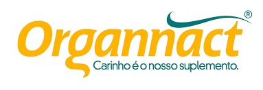 Imagem do WhatsApp de 2025-09-04 à(s) 09.44.28_89755c7f